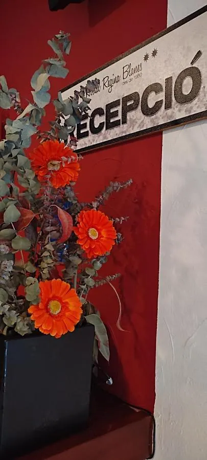 Hostal Regina Blanes 2*,  Spain